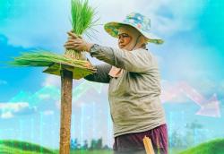 Inflasi Banyumas Raya Maret 2026 Terkendali, BI Purwokerto Soroti Faktor Musiman Lebaran