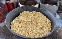 Harga Naik, Stok Terancam: Perajin Tahu Blitar Dihantui Dampak Konflik Dunia