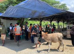 Bandara KASA Situbondo Tuntaskan Penyaluran Bantuan Kerohiman Berupa Hewan Ternak ke 169 Warga