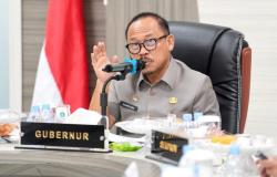 Belanja Pegawai Tembus 40 Persen, Gubernur: Tanpa Relaksasi Pusat, Daerah Lumpuh