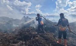 Kebakaran Lahan Gambut Meningkat di Palangka Raya, Dalam Sehari Terdapat 4 Titik