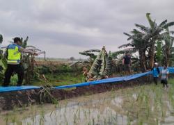 Lansia Perempuan di Karangwader Penawangan Meninggal Tersambar Petir di Sawah