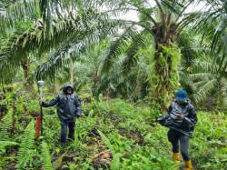 PLN–BPN Tuntaskan Pengukuran 42 Tower Listrik di Kukar, Percepat Sertifikasi Aset