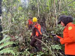 Remaja 14 Tahun Hilang di Hutan Mamuju, Tim SAR Gabungan Lakukan Pencarian