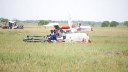 Produksi Gabah Karawang 2025 Lampaui Target, Tembus 1,41 Juta Ton