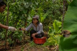 Riset Pertanian Berbasis AI Jadi Pemulihan Lahan dan Ketahanan Pangan