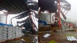 Hujan Disertai Angin Kencang Terjang Gayam Bojonegoro, Gudang Pupuk Porak-poranda