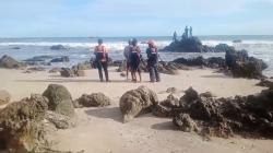 Abaikan Larangan Petugas, Seorang WNA Hilang Terseret Ombak di Pantai Cibobos Lebak