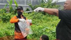 Geger, Warga Temukan Potongan Jari Manusia dalam Toples di Samarinda