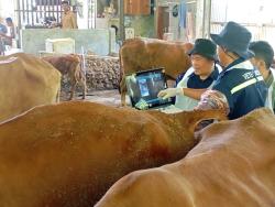 Mengenal Healing, Layanan Kesehatan Hewan Keliling Gratis bagi Peternak Desa di Jawa Tengah