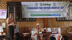 Penanaman Padi Metode Demplot KSP Dorong Produktivitas Petani di Garut