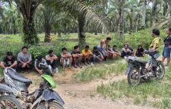 17 Orang di Jalan Neraka Bengkalis Diamankan Polisi Saat Pesta Narkoba