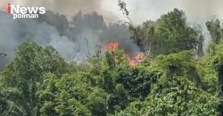 Kebakaran Lahan di Perbukitan Papandangan Anreapi Hanguskan 2 Hektare Kebun Warga