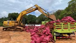 Polisi Musnahkan 27 Ton Bawang Ilegal di Batam, Dua Tersangka Ditetapkan