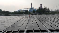 Polder Penampung Banjir Rob di Semarang Disulap Jadi PLTS Apung Berkapasitas 1,5 MWp