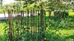 Rp2 Miliar Menguap! Proyek Futsal Polman Mangkrak, Publik Murka