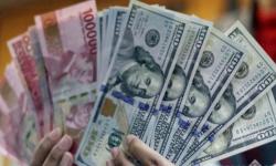 Dorong Stabilitas Nasional, Forsa Harapkan Respons Cepat Penegak Hukum Terkait Isu Dana Asing