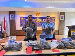 Polresta Jayapura Kota Gagalkan Peredaran 8,3 Kg Ganja, Pelaku Terancam Penjara Seumur Hidup