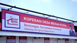 Cara Daftar Manajer Koperasi Merah Putih dan Syaratnya, Dibuka hingga 24 April 2026