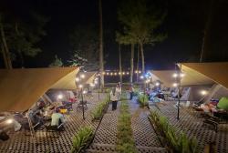 Pesona Magis Lembayung Pinus Camp, Mengejar Matahari dari Fajar hingga Senja