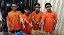 Terbongkar! Ladang Ganja Disamarkan di Hutan Lindung Karo, 4 Orang Diciduk