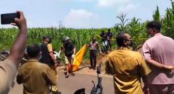 Jombang Gempar! Mayat Pria Misterius Ditemukan Membusuk di Lahan Jagung