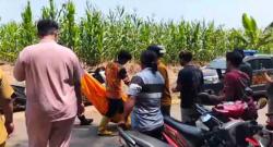 Mayat Pria di Lahan Jagung Jombang Membusuk, Polisi Identifikasi Dengan Tes DNA