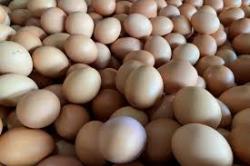 Harga Pangan Melejit! Minyak Goreng, Telur hingga Cabai Rawit Merah Naik