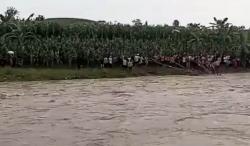 Diterjang Banjir Sungai Bodri, Truk Warga Singorojo Kendal Terseret dan Tenggelam