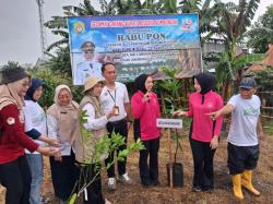 Gerakan Tanam Pohon di Langenharjo, Upaya Nyata Hadapi Perubahan Iklim