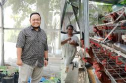 Peternak Ayam Petelur di Bojonegoro Diprediksi Melonjak, Praktisi Ingatkan Soal Stabilitas Harga