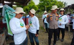 Cegah Abrasi, Kapolsek Puloampel Tanam 1.500 Pohon Mangrove di Pesisir Pulo Panjang