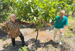 Produksi Kakao Rendah, Petani Semarang Digembleng Pertanian Modern