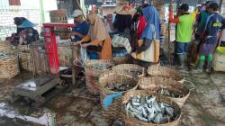 Pasokan Melimpah Tak Terserap, Harga Ikan Tambak Lamongan Anjlok