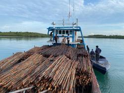 Polairud Polda Kepri Gagalkan Penyelundupan 12 Ribu Kayu Bakau ke Singapura, Nakhoda Jadi Tersangka