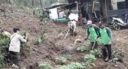 Petani Lereng Arjuna Beralih ke Kentang, Panen Lebih Cepat Tak Perlu Tunggu Setahun