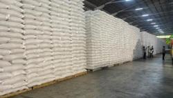 Stok Beras RI Tembus 5,1 Juta Ton, Mentan:Tertinggi Sepanjang Sejarah