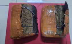 Pengedar Ganja Ditangkap di Kartasura, Polisi Sita 2 Kilogram Barang Bukti