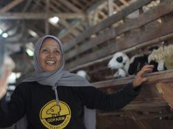 Srikandi Tangguh di Sentra Peternakan, Bersama Dompet Dhuafa Lahirkan Ekonomi Berdaya