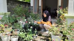 Kisah Tsany Zahratussita, Atlet Kriket Kediri Jualan Tanaman Hias Demi Biaya Hidup dan Kuliah