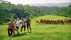 Mini Ranch Sukamantri Jadi Sorotan, Irfan Hakim Angkat Potensi Lokal Ciamis