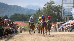80 Kuda Berlaga di Derby Bukittinggi–Agam 2026, Dongkrak Wisata dan Ekonomi