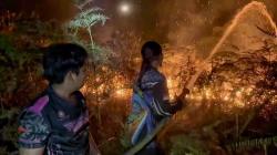 Lahan 2 Hektare di Palangka Raya Terbakar, Tim Dalkarhutla Berjibaku Padamkan Api di Perbukitan