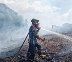 Karhutla di Rakumpit Palangka Raya, 19 Hektare Lahan Hutan Produksi Terbakar