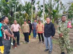 Pemprov dan Pemkab Pidie Jaya Genjot Rehabilitasi 141 Hektare Sawah Rusak, Target Tanam Musim Gadu