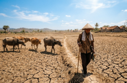 Jatim Hadapi Ancaman Kekeringan Lebih Tinggi pada Kemarau 2026