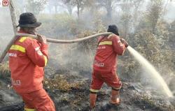 Perusahaan di Riau Diminta Siaga Pencegahan Karhutla, APHI: Pencegahan Dilakukan Semua Pihak