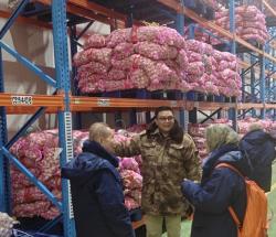 Tak Mau Kecolongan, Bapanas Perketat Standar Pangan Impor di Seluruh Indonesia