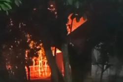 Kandang di Jombang Kebakaran, 3 Ekor Sapi Nyaris Jadi Korban