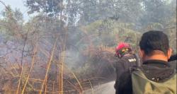 Kebakaran Hutan di Kutai Barat Meluas, Api Masih Sulit Dikendalikan